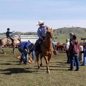 Meet your Posher, Robert